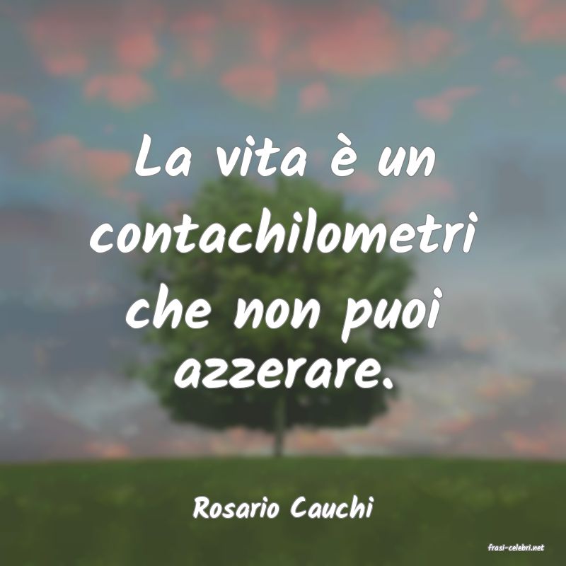 frasi di Rosario Cauchi