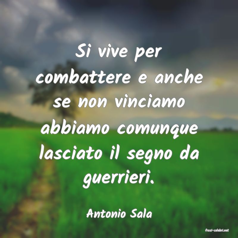 frasi di Antonio Sala