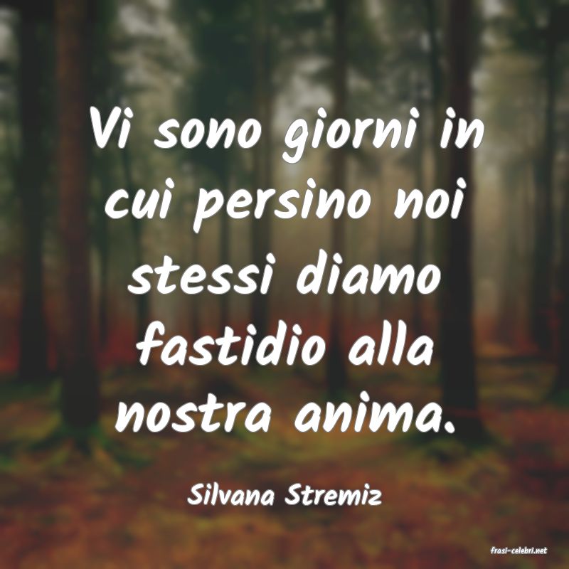 frasi di  Silvana Stremiz
