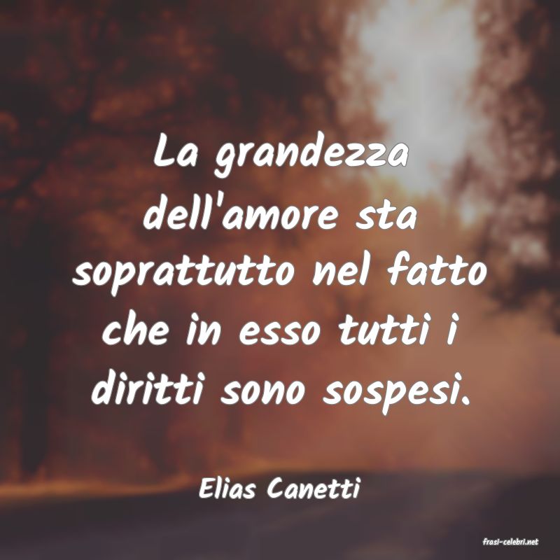 frasi di  Elias Canetti
