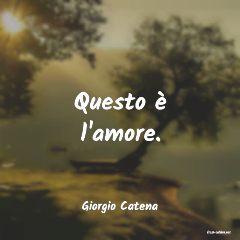 frasi di  Giorgio Catena
