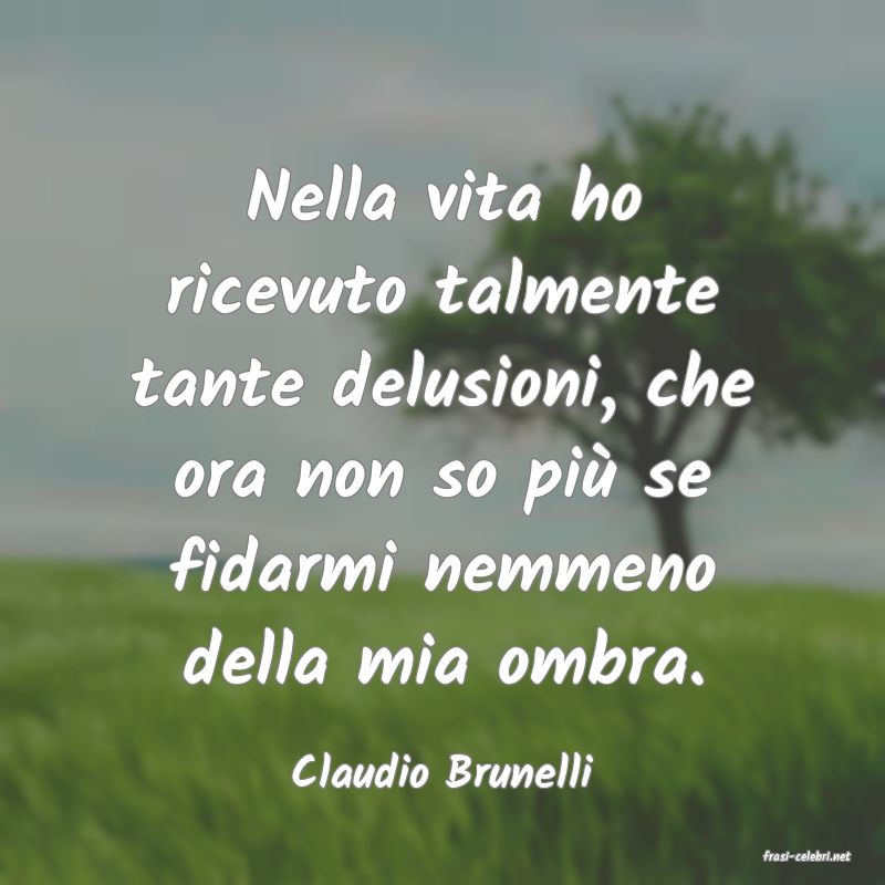 frasi di  Claudio Brunelli
