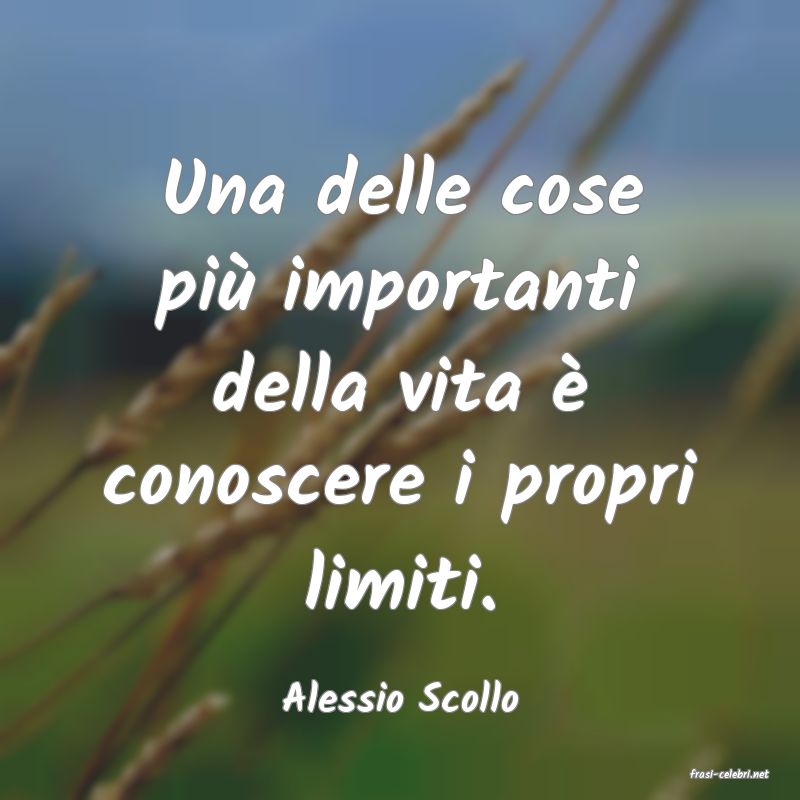 frasi di  Alessio Scollo
