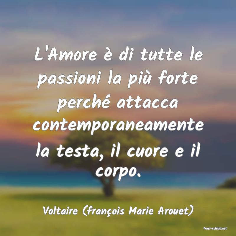 frasi di Voltaire (franois Marie Arouet)