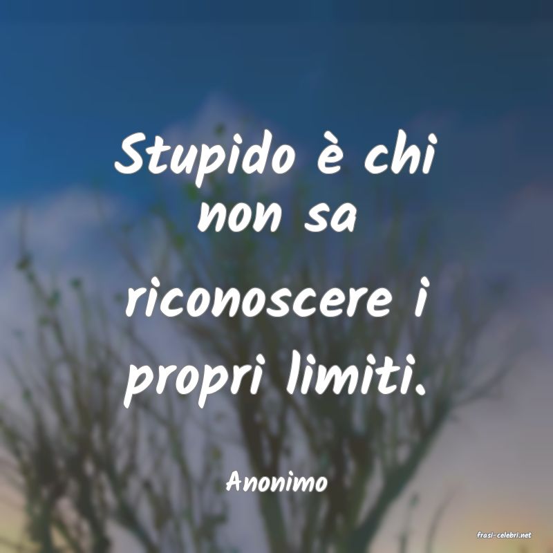 frasi di  Anonimo

