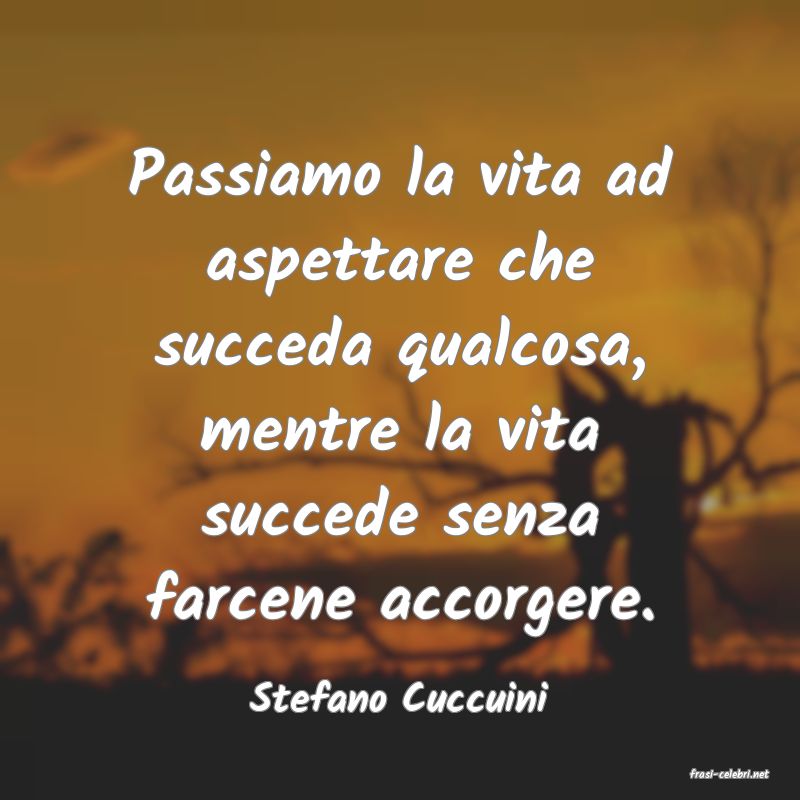frasi di  Stefano Cuccuini

