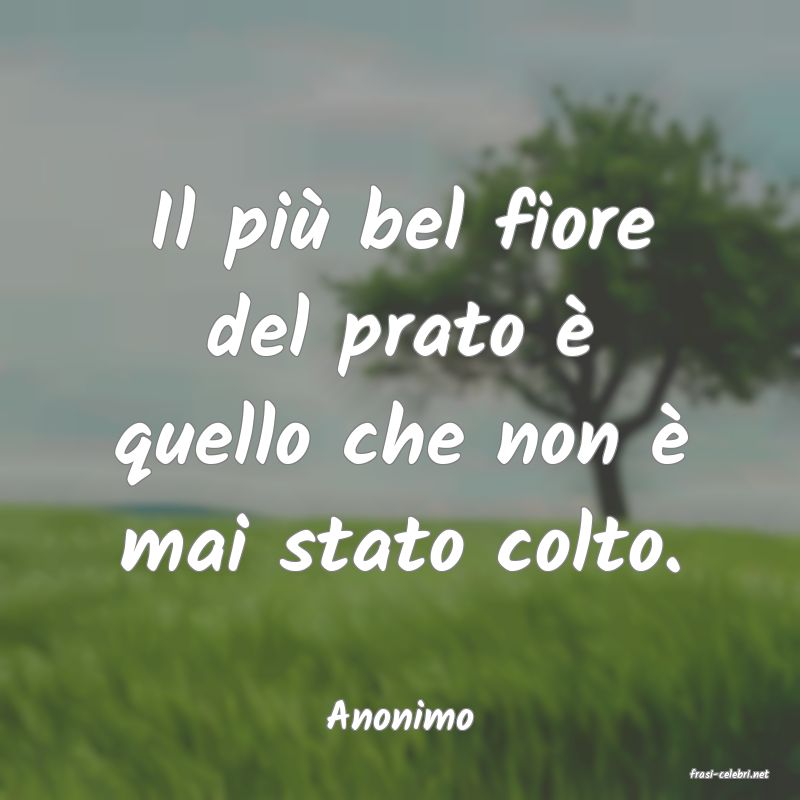 frasi di Anonimo