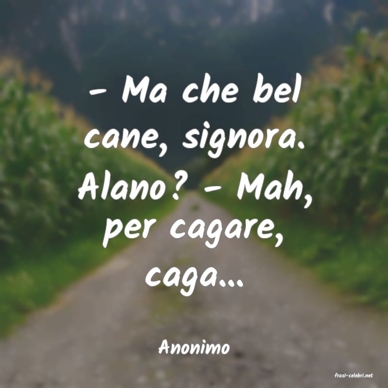 frasi di Anonimo