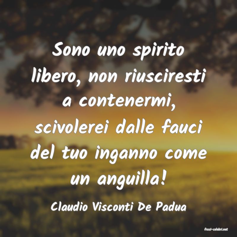 frasi di  Claudio Visconti De Padua
