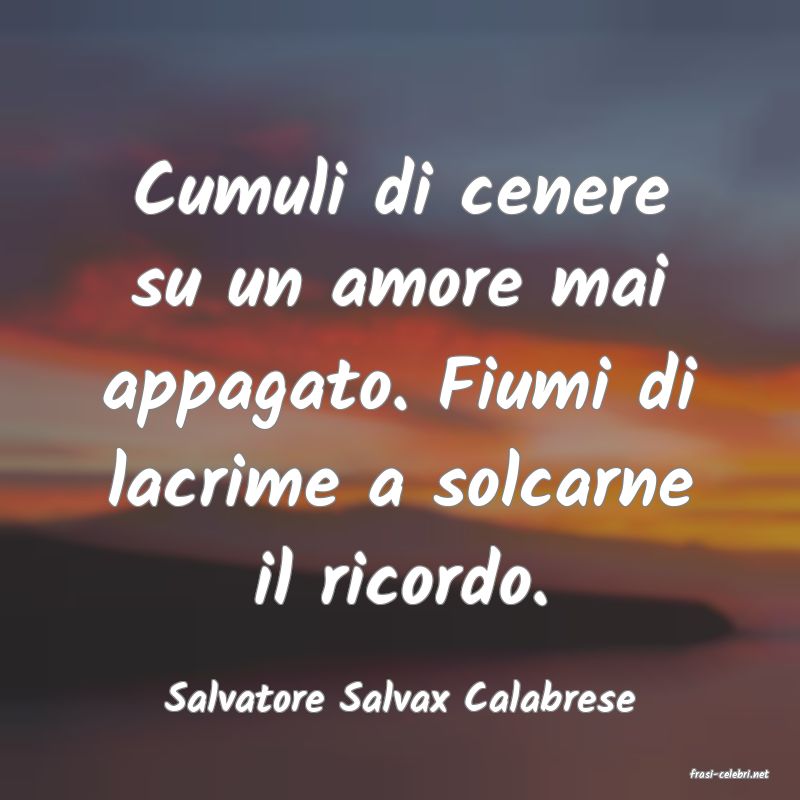 frasi di  Salvatore Salvax Calabrese
