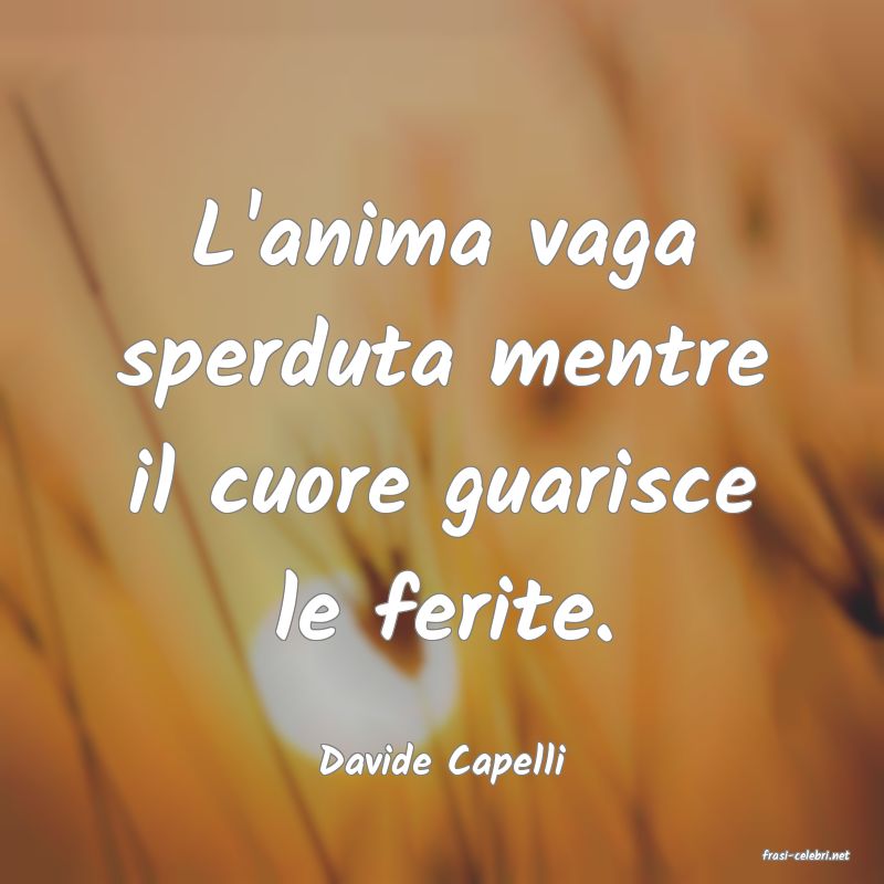 frasi di  Davide Capelli
