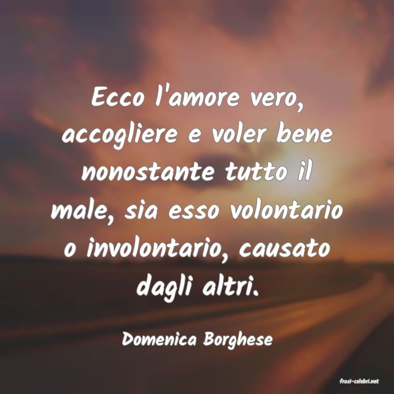 frasi di  Domenica Borghese
