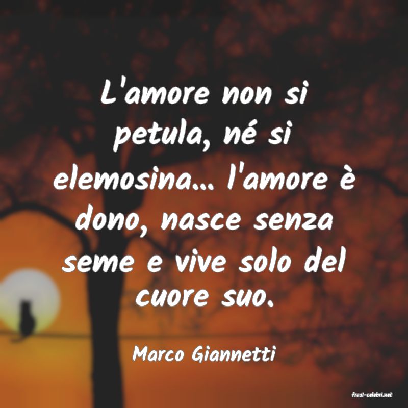 frasi di  Marco Giannetti
