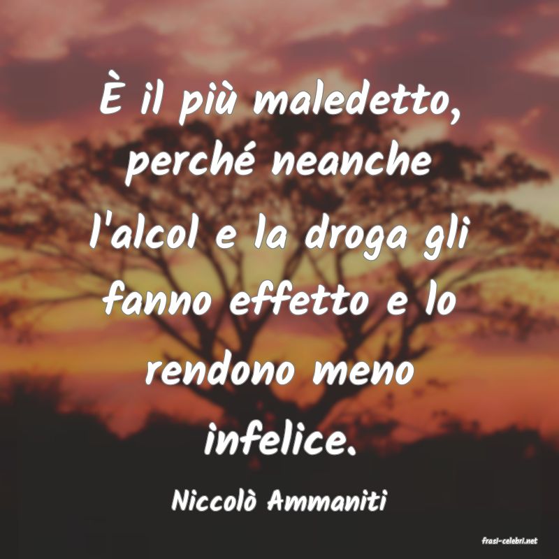 frasi di Niccol Ammaniti