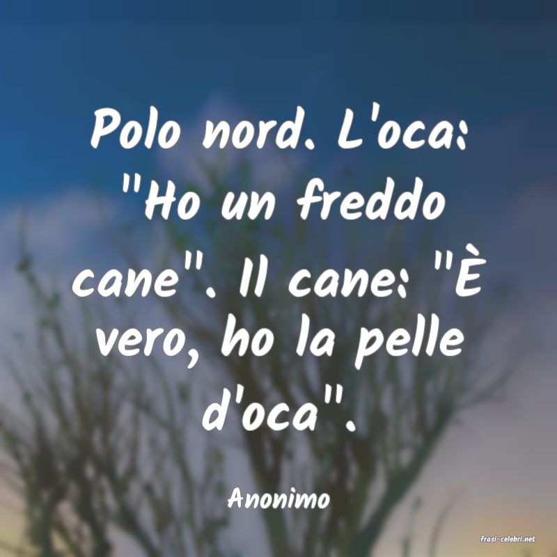 frasi di Anonimo