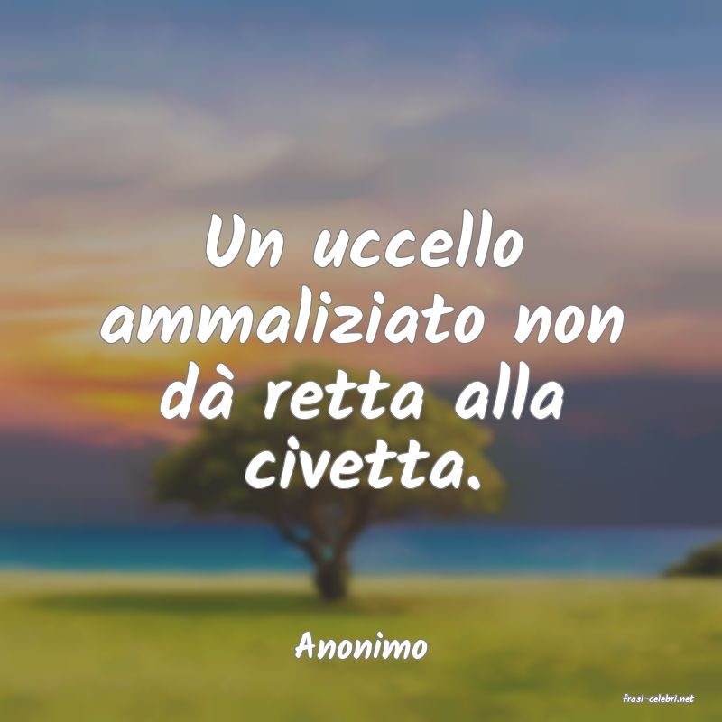 frasi di Anonimo