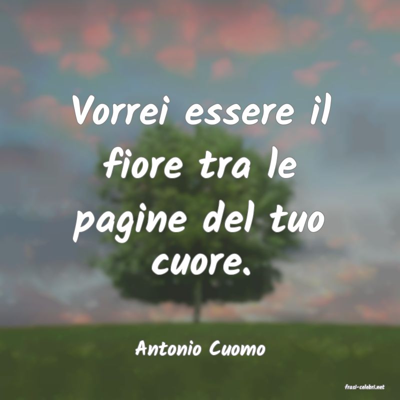 frasi di  Antonio Cuomo
