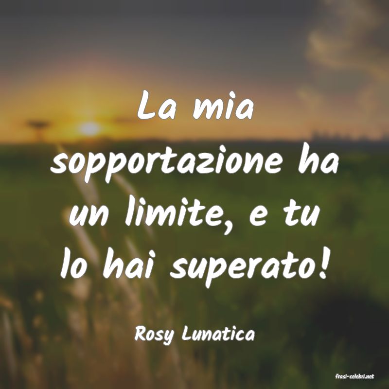frasi di  Rosy Lunatica
