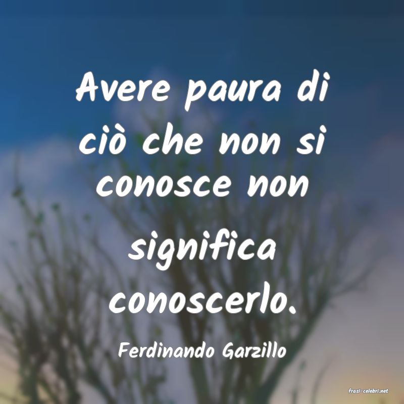 frasi di  Ferdinando Garzillo
