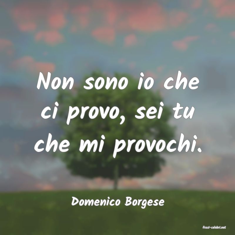 frasi di  Domenico Borgese
