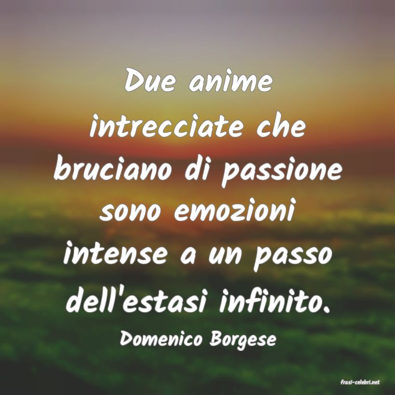 frasi di  Domenico Borgese
