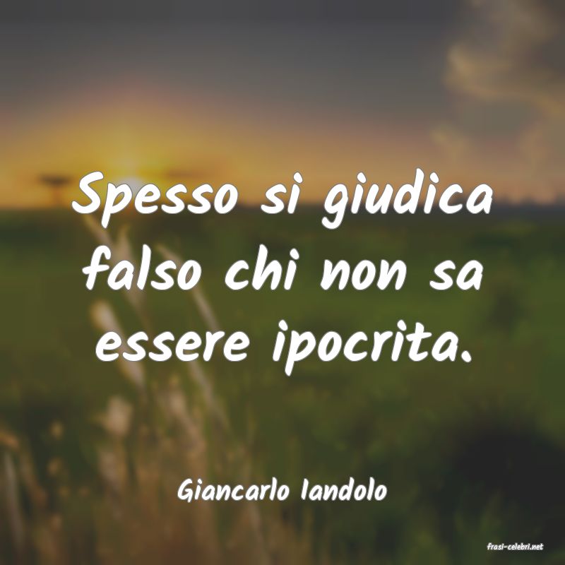 frasi di  Giancarlo Iandolo
