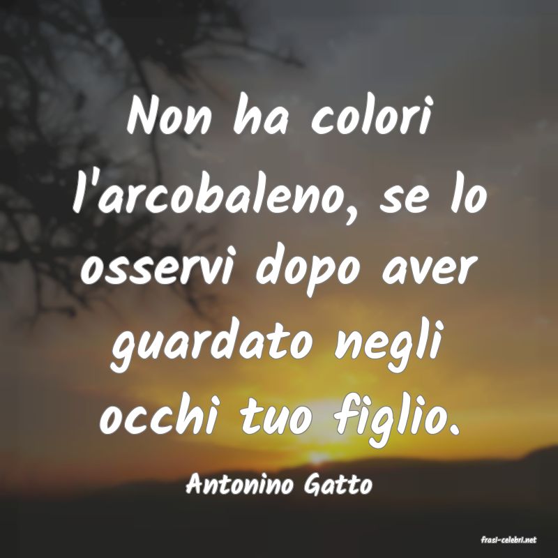 frasi di  Antonino Gatto
