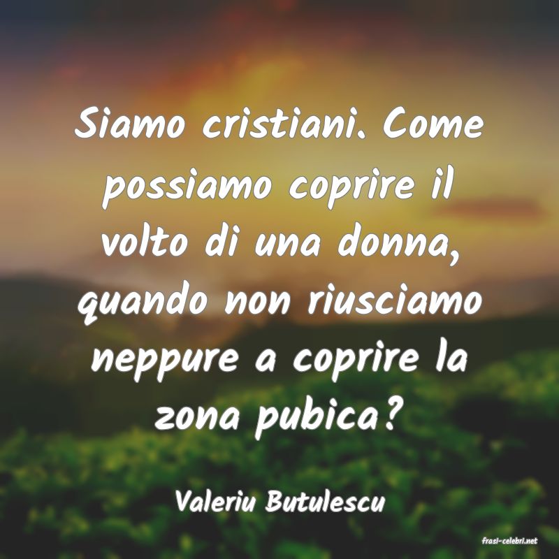 frasi di Valeriu Butulescu