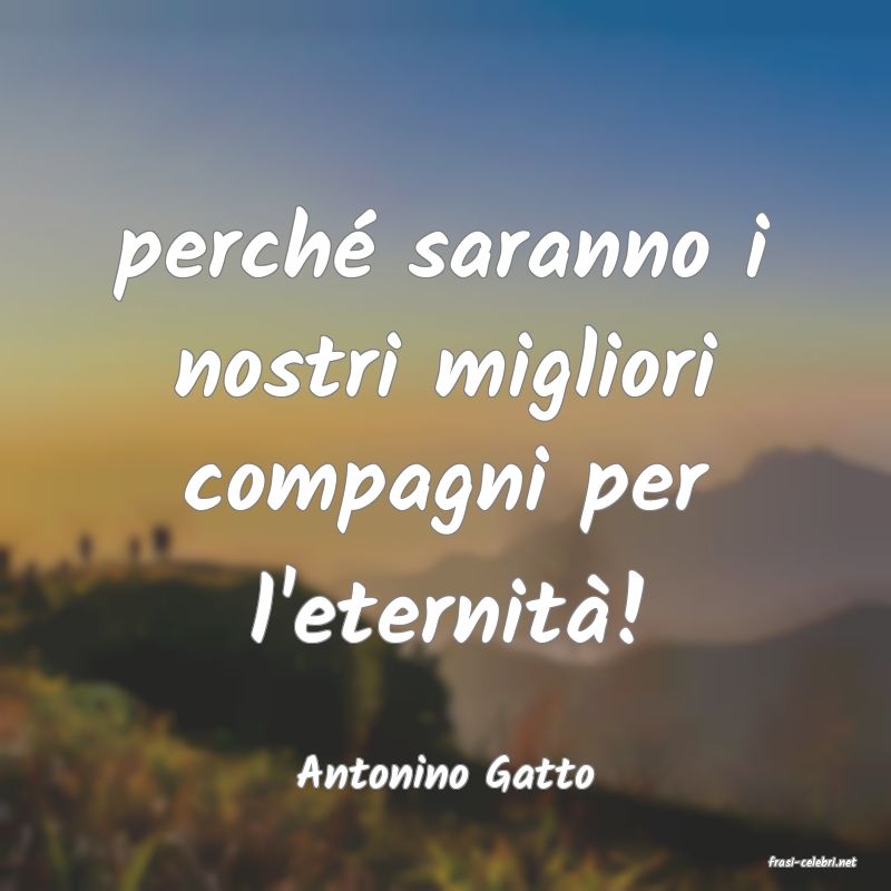 frasi di  Antonino Gatto
