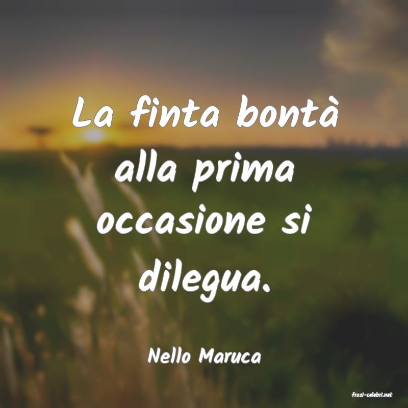 frasi di  Nello Maruca

