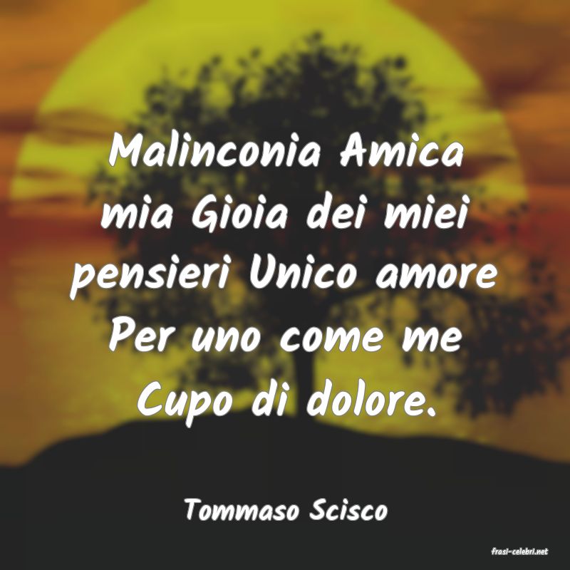 frasi di Tommaso Scisco