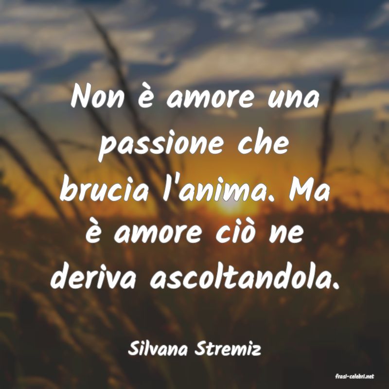 frasi di Silvana Stremiz