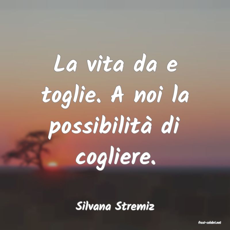 frasi di Silvana Stremiz