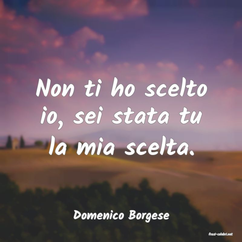 frasi di Domenico Borgese