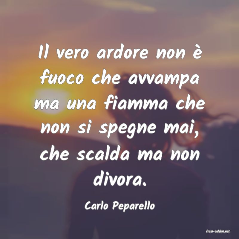 frasi di  Carlo Peparello
