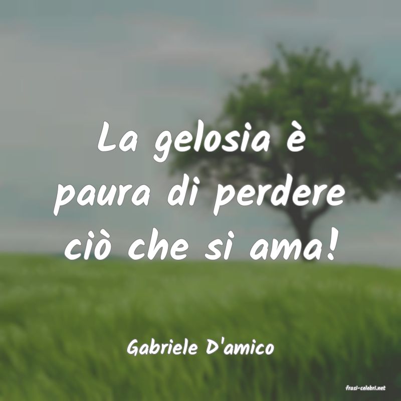 frasi di  Gabriele D'amico
