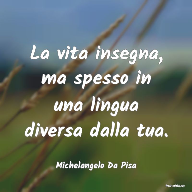 frasi di  Michelangelo Da Pisa
