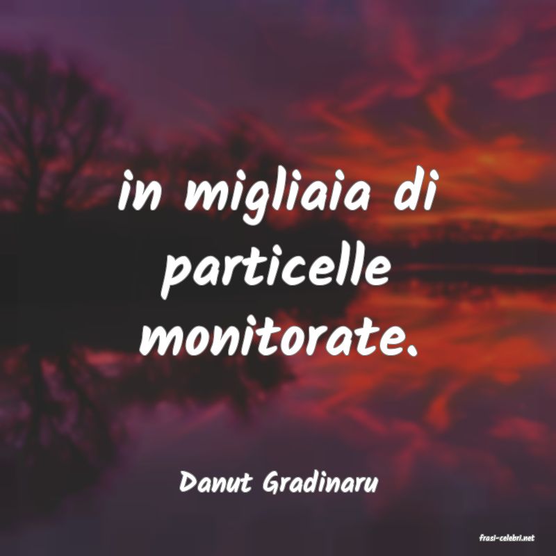frasi di  Danut Gradinaru
