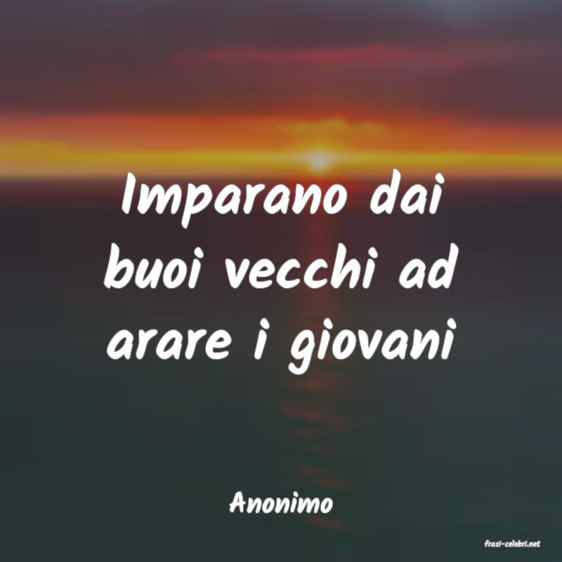 frasi di Anonimo