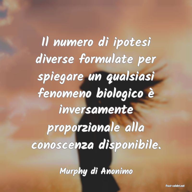 frasi di Murphy di Anonimo