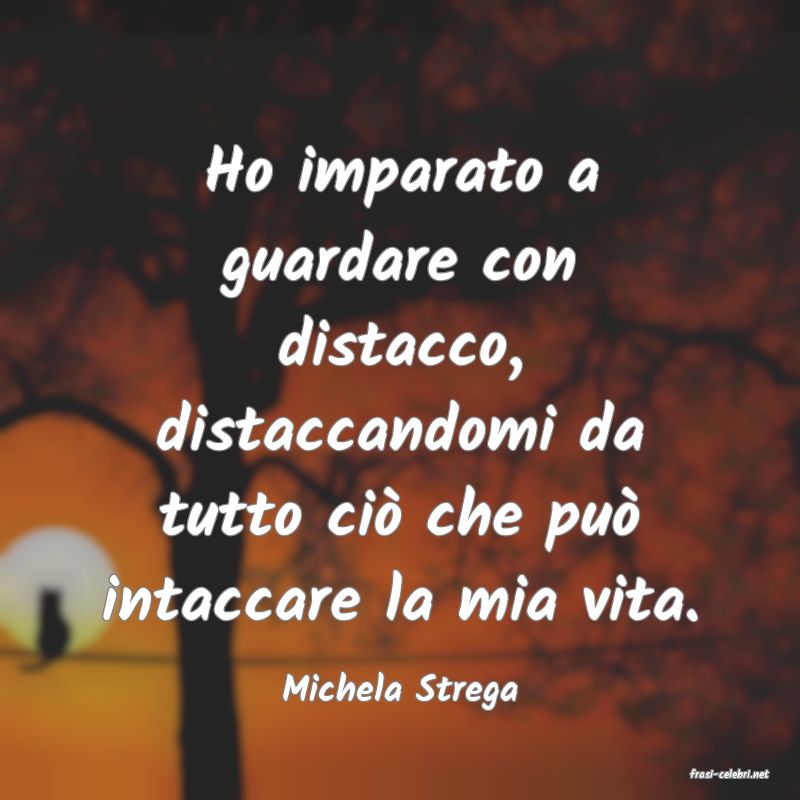 frasi di  Michela Strega
