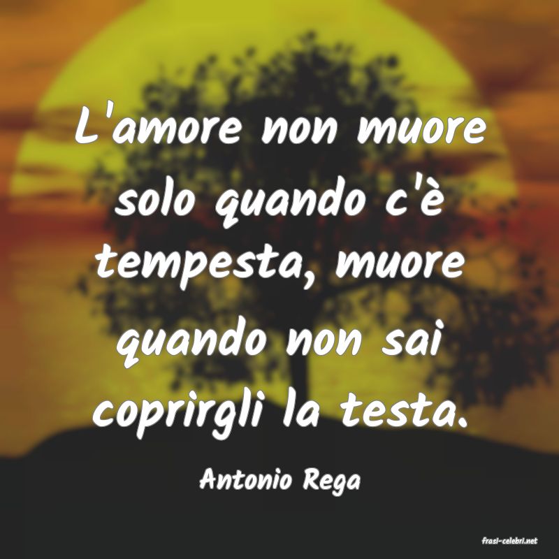 frasi di  Antonio Rega
