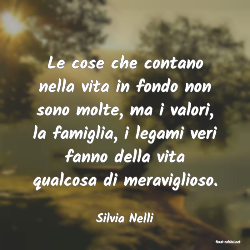 frasi di  Silvia Nelli
