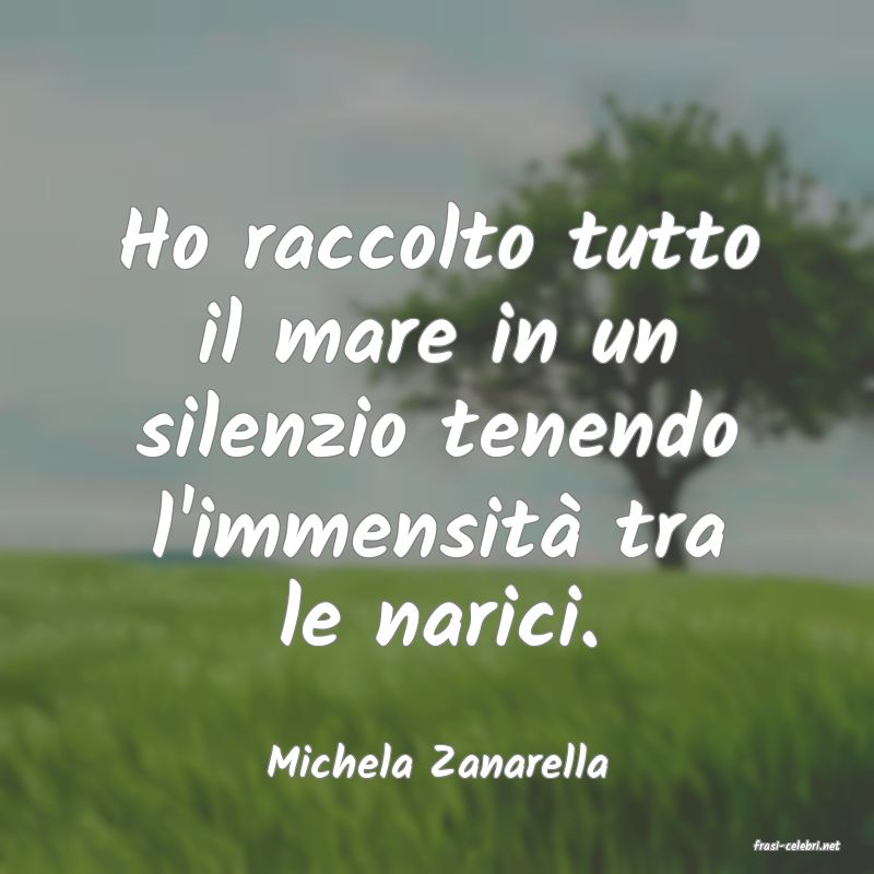 frasi di  Michela Zanarella
