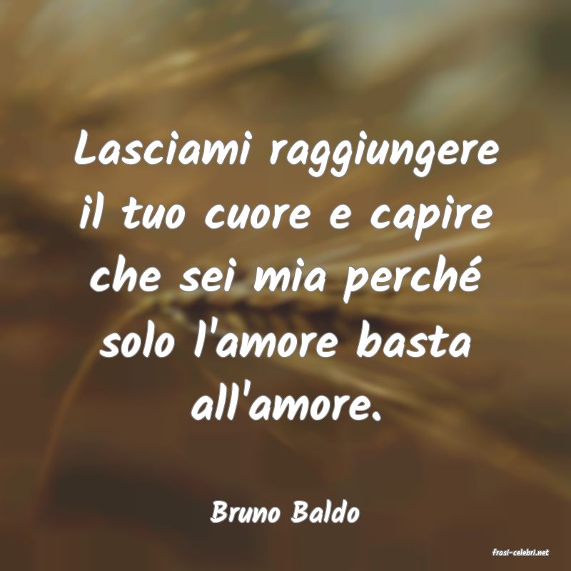 frasi di Bruno Baldo