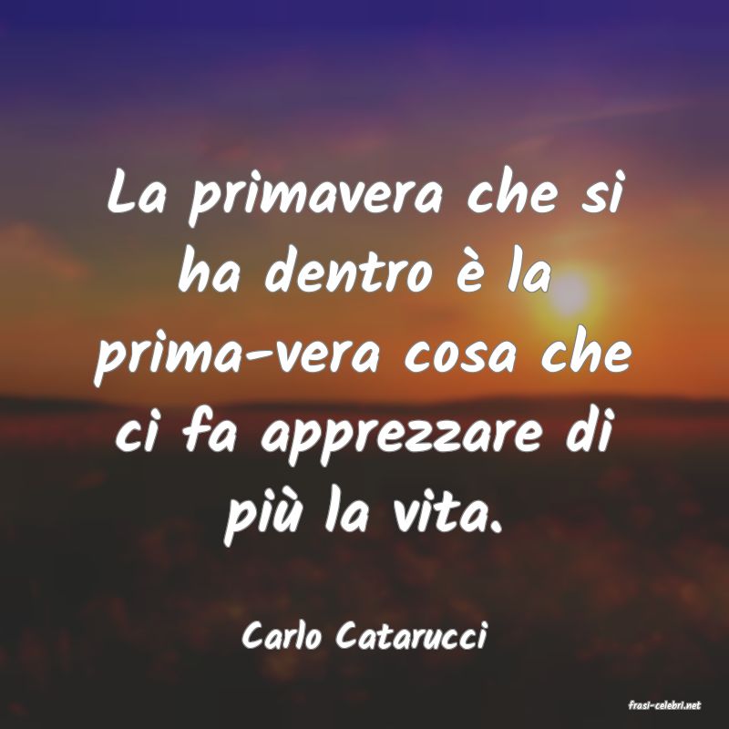 frasi di  Carlo Catarucci
