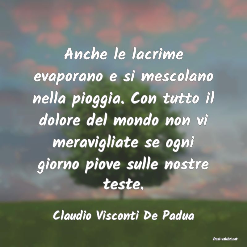 frasi di  Claudio Visconti De Padua
