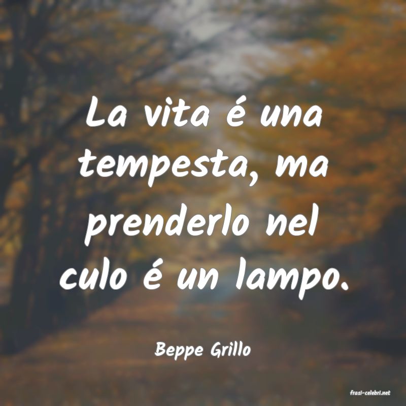 frasi di  Beppe Grillo
