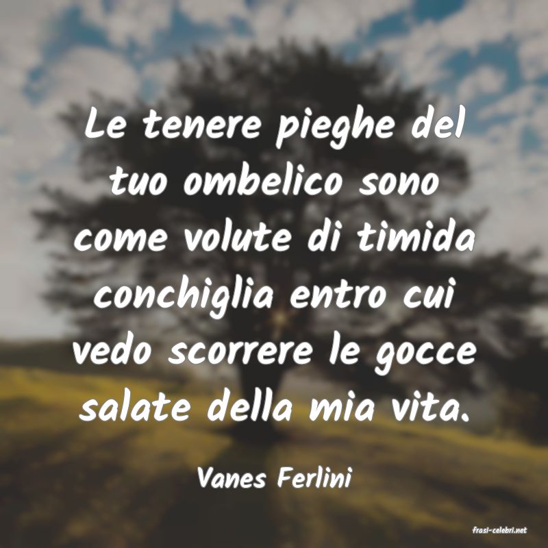 frasi di  Vanes Ferlini
