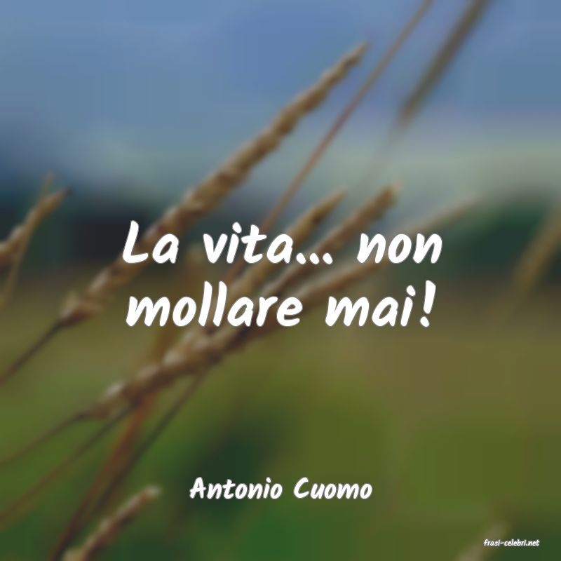 frasi di  Antonio Cuomo

